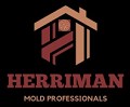 Mold Remediation Herriman Solutions